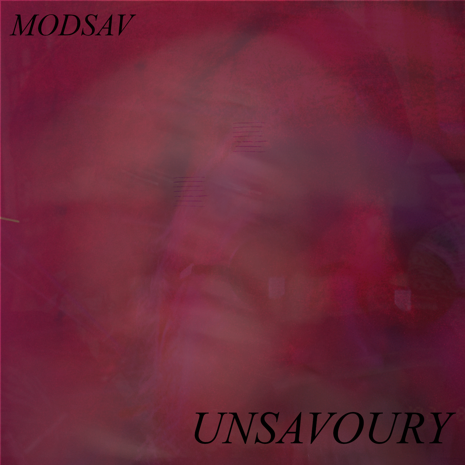 UNSAVOURY